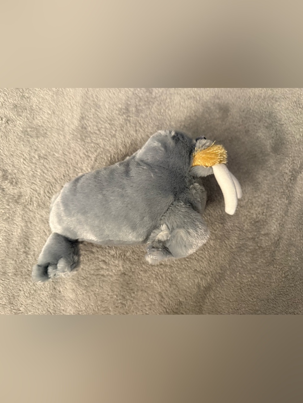 Webkinz